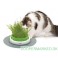 CatIt Senses Grass Planter