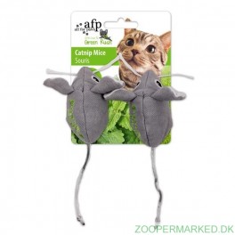 AFP Mus m. catnip